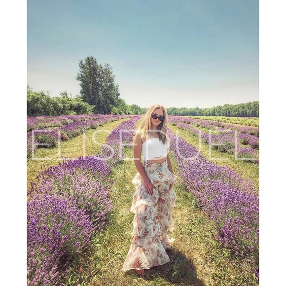 Price Firm. Last Pair! Zara Ruffled Pants, NWT - Picture 4 of 8